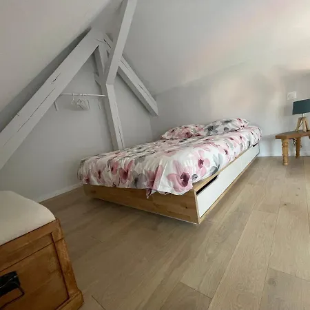 A L'Ombre Du Figuier Apartment Horbourg Exterior photo