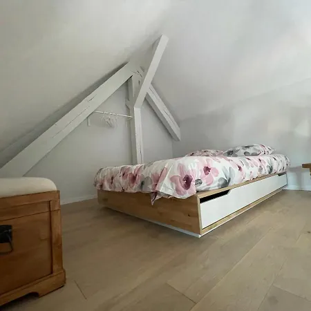 A L'Ombre Du Figuier Apartment Horbourg Exterior photo