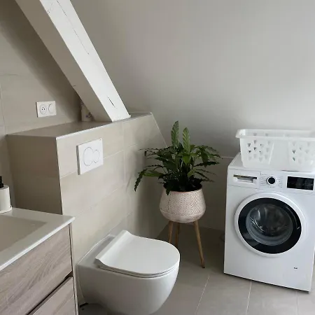 A L'Ombre Du Figuier Apartment Horbourg Exterior photo