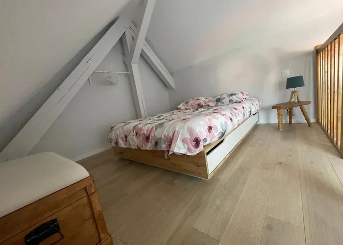 A L\'Ombre Du Figuier